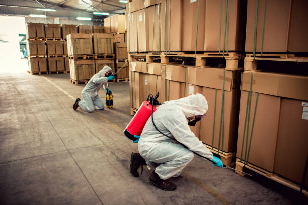 Best Emergency Pest Control  in Willow Creek, CA