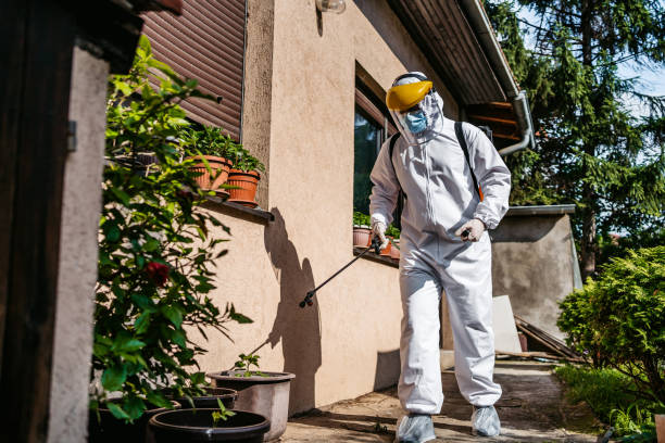 Best Affordable Pest Control Services  in Willow Creek, CA
