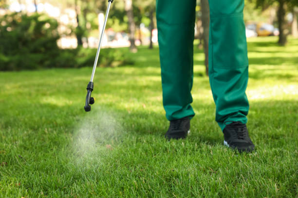 Best Exterminator Services  in Willow Creek, CA