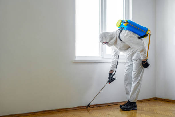 Best Wildlife Control Services  in Willow Creek, CA