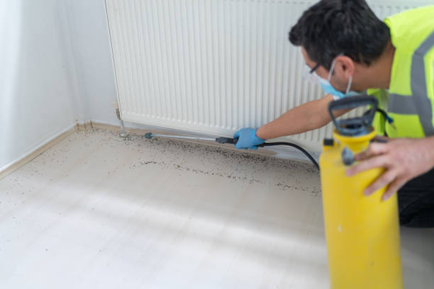 Professional Pest Control in Willow Creek, CA
